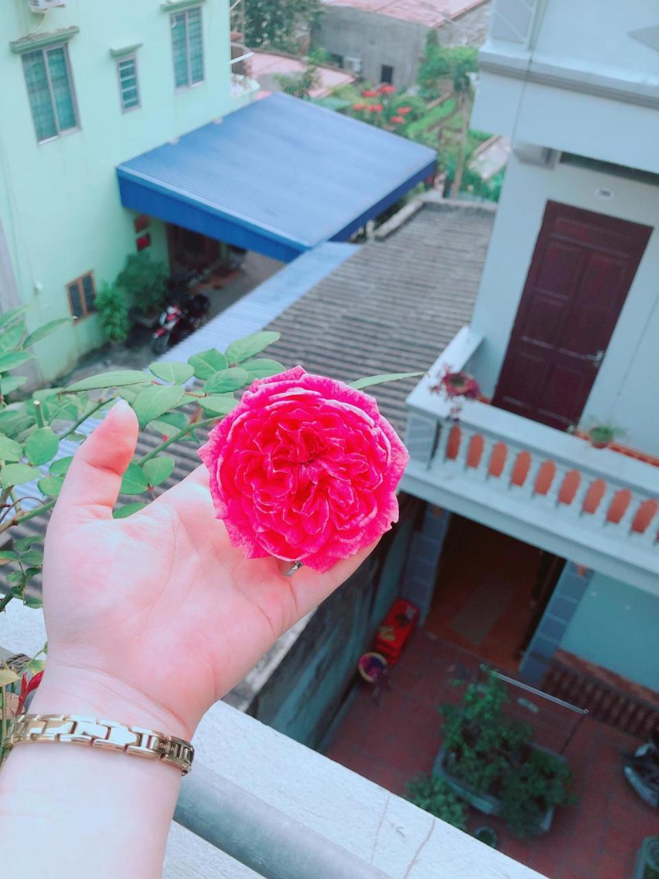 Pi'S Homestay Catba Dong Khe Sau Eksteriør billede